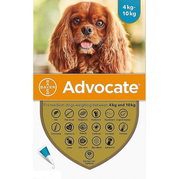 Advocate Sol Uncao Pip Cão Med x3